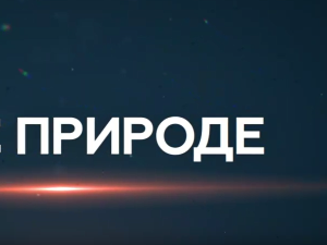 Пулс природе: Једрење Голубац