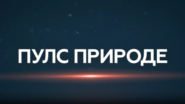 Пулс природе: Једрење Голубац