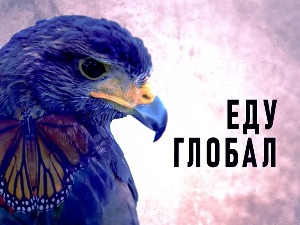Еду глобал, 303. еп.