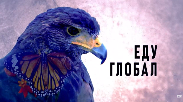 Еду глобал, 303. еп.