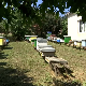 Из погона за прикупљање и пласман меда у Рачи - у Кину извезено 2,3 тоне меда