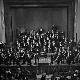 Бемус 1971.