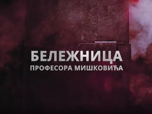 Бележница професора Мишковића, 11-12