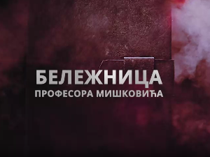 Бележница професора Мишковића, 11-12