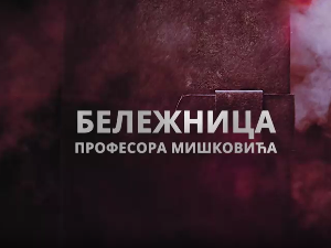 Бележница професора Мишковића, 12-12