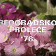 Београдско пролеће '76