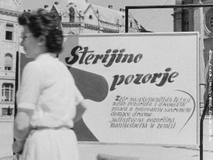 70 година Стеријиног позорја