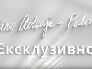 Ексклузивно - Сви одговори су у прошлости-Хајнц Фишер