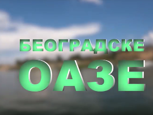 Београдске оазе – Бела стена