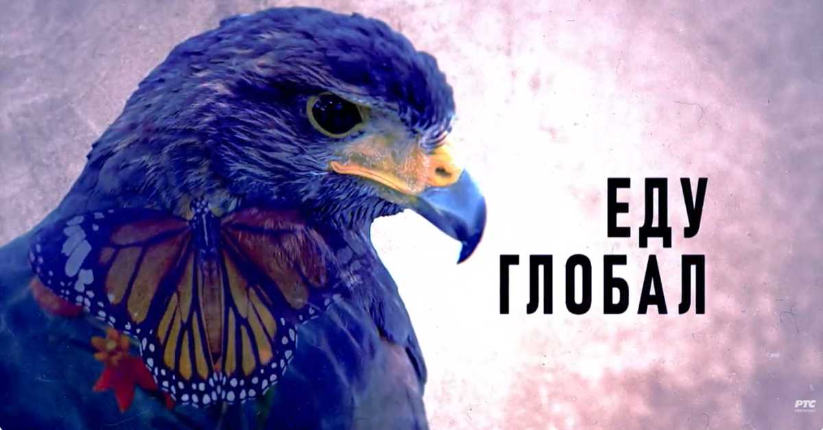 Еду глобал, 306. еп.