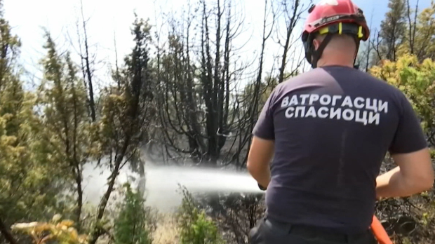 Пожар на Столовима под контролом - успостављена последња линија одбране од 5 километара, стабилно на Делиблатској пешчари