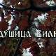 Лети, лети песмо моја мила-Постер Душице Билкић