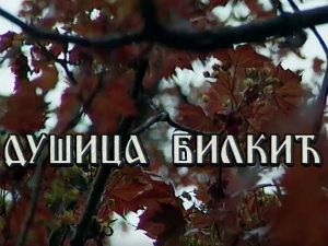Лети, лети песмо моја мила-Постер Душице Билкић