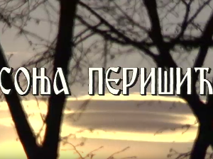 Лети, лети песмо моја мила - Постер Соње Перишић