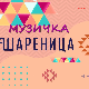 Музичка шареница