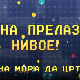 Мина прелази нивое, Ц 01: Мина мора да црта