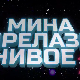 Мина прелази нивое, Ц 03: Мина (ни)је у излогу