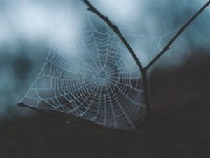 Ли Вернон: Фантомски љубавник