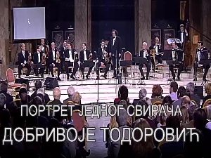 Портрет једног свирача