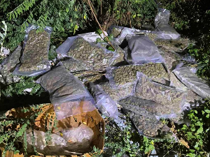 На дивљој депонији код Обреновца 30 килограма марихуане – трага се за власником дроге