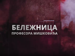 Бележница професора Мишковића, 8-12