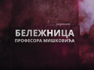 Бележница професора Мишковића, 10-12