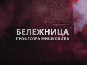 Бележница професора Мишковића, 10-12