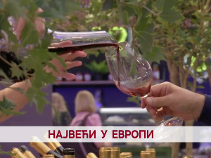 Дневник 2