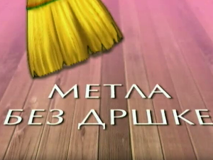 Метла без дршке