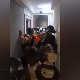 Истрага против 12 осумњичених за два убиства у Београду и Пожаревцу, Тужилаштво тражи притвор
