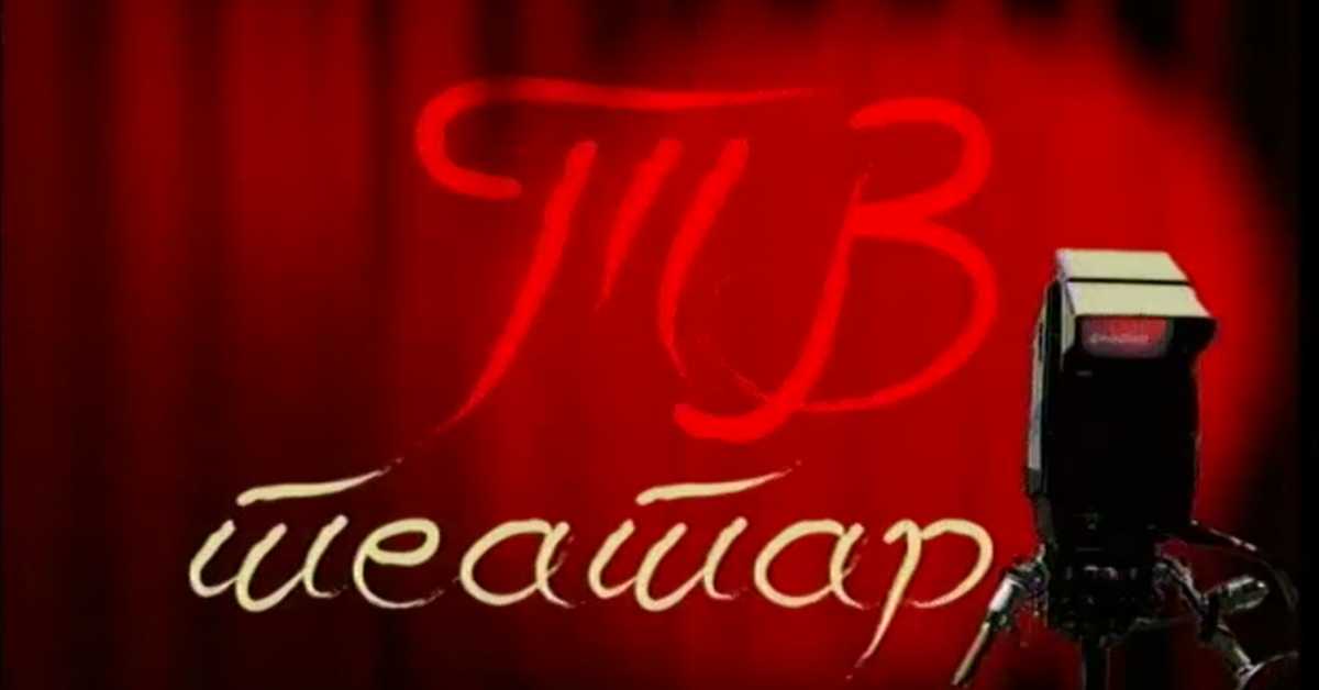 ТВ театар, циклус Стево Жигон:	Јегор Буличов