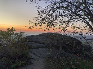 Еко минијатуре: Заштићена подручја Србије – Варденик стрешер