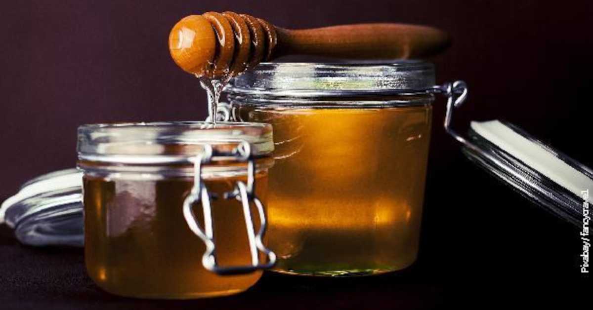 Српски мед стигао на кинеско тржиште – пчелари очекују раст откупних цена до 50 одсто