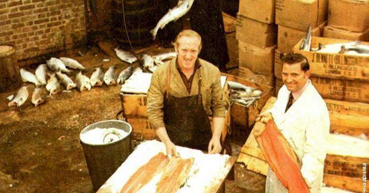 Мира Адања Полак: Ексклузивно – Очување породичног наслеђа – Ланс Форман