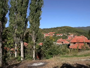 Седам старих топола у Баботинцу, мештани траже да се проблем реши