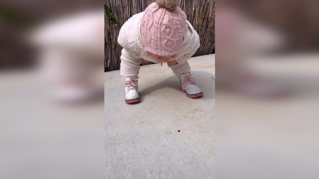 РТС :: Видео дана :: Добар дан, бубамаро!