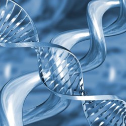 DNA-2.jpg DNA-2.jpg
