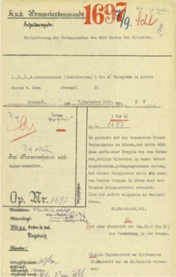 Austrougarski dokument o zarobljavanju srpskih vojnika.jpg