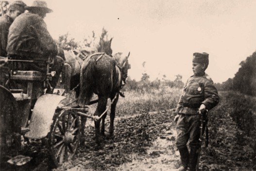 Gavric posmatra odvodjenje austrougarskog oficira 1914.jpg