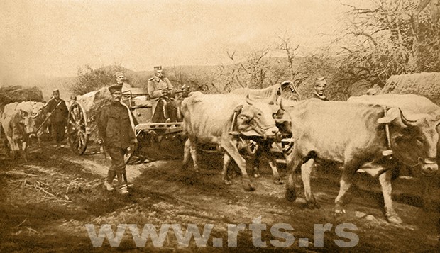 Краљ Петар на воловским колима пролази преко Космета 1915.