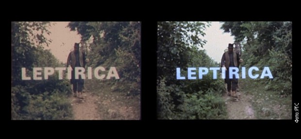 Film-Leptirica.jpg