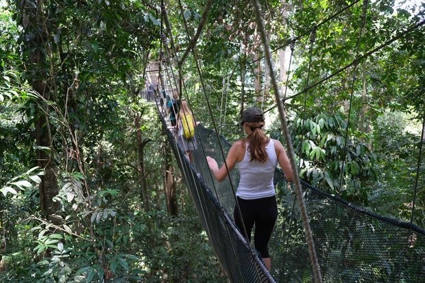 Мост од ужади