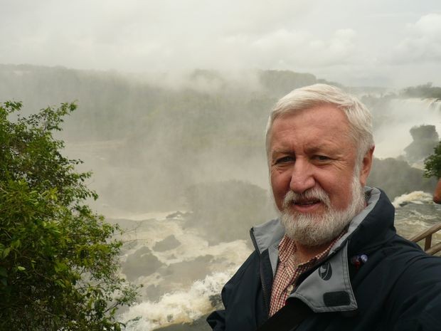 Проф. др Владимир Дилигенски