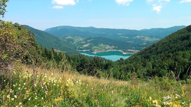 U vreme pandemije Tara izgleda još zelenije