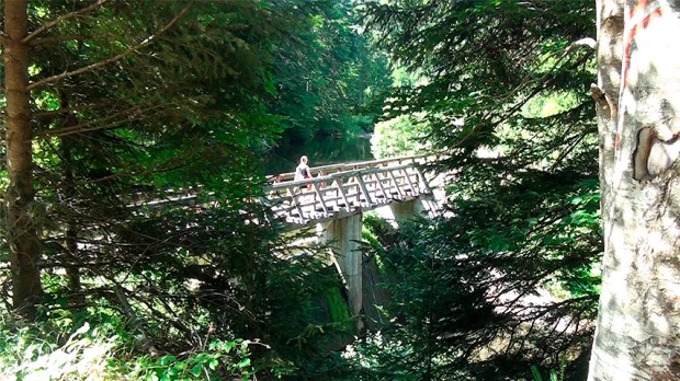 Mojca ne čeka nikoga