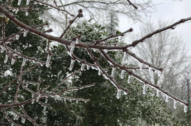 Februar na severu počinje ledenom kišom, na jugu skoro proleće Februar na severu počinje ledenom kišom, na jugu skoro proleće