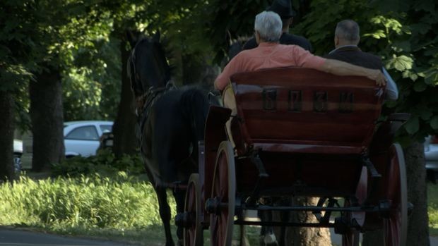 Сарач, Рума