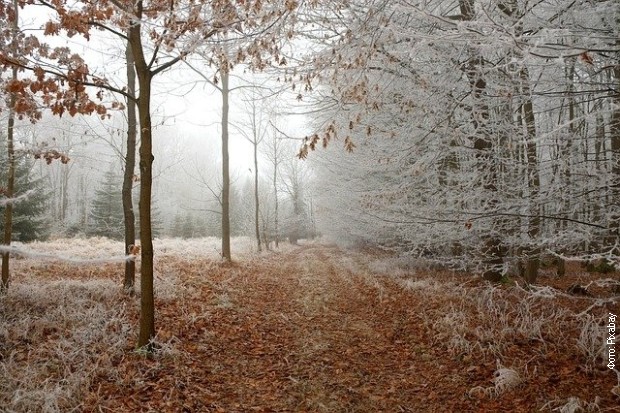 Pred nama je najhladnije jutro ove godine