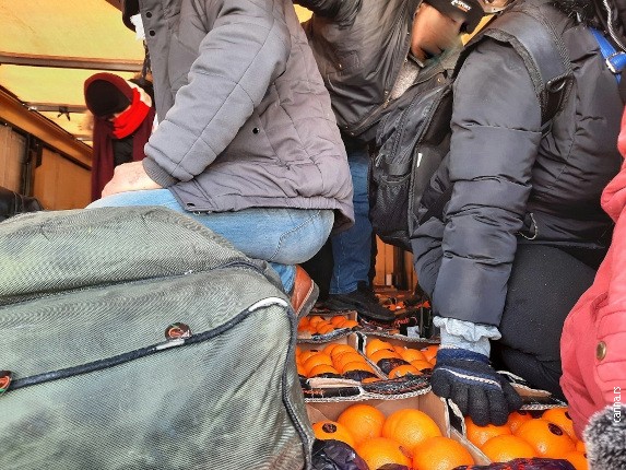 Migranti među tovaru mandarina i pomorandži.