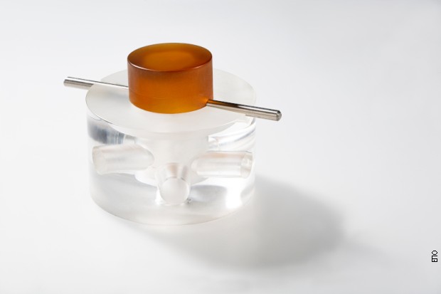 Pionirska tehnika Vunjak-Novaković uključuje eks-vivo stvaranje živih bioloških graftova putem kultivacije novog komada tkiva iz sopstvenih ćelija pacijenta